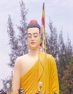 Ðạo Phật Qua Nhận Thức Mới